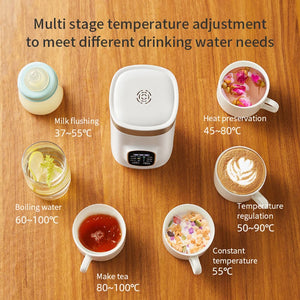 Afinmex™ Electric Kettle Portable Heating