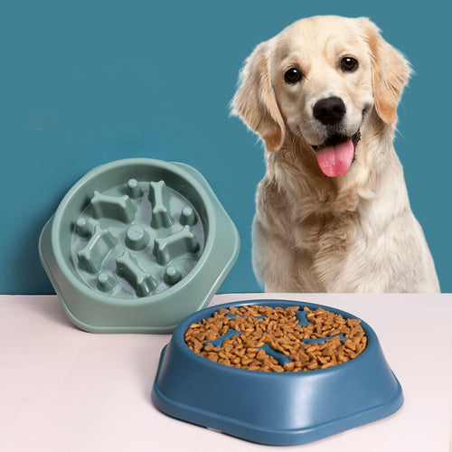 Afinmex™ Pet Slow Food Bowl