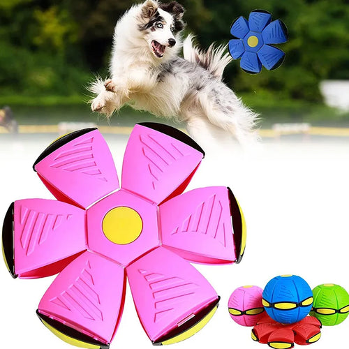 Afinmex™ The Doggy Disc Ball